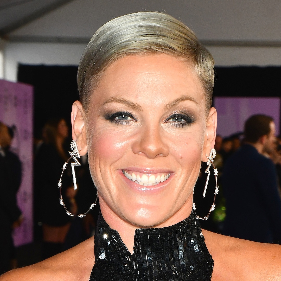 Pink Cancels Concerts Due to Family Medical Issues